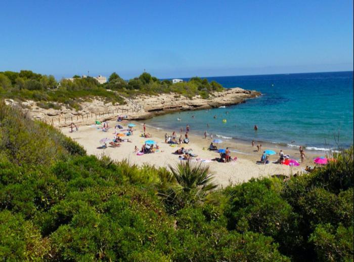 Estudio I Ideal Para Parejas En La Playa Alguer L'Ametlla de Mar Exterior photo